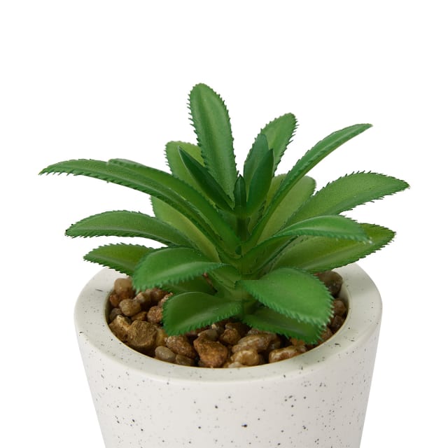 Artificial Succulent in Pot - Assorted