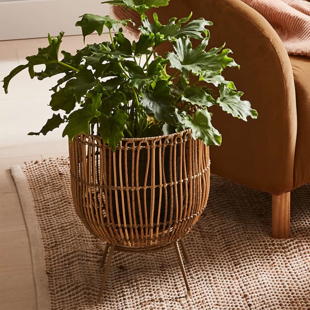 Rattan Look Pot Holder with Stand