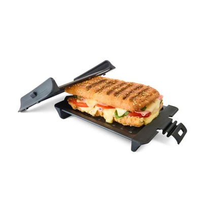 Microwave Grilled Plate