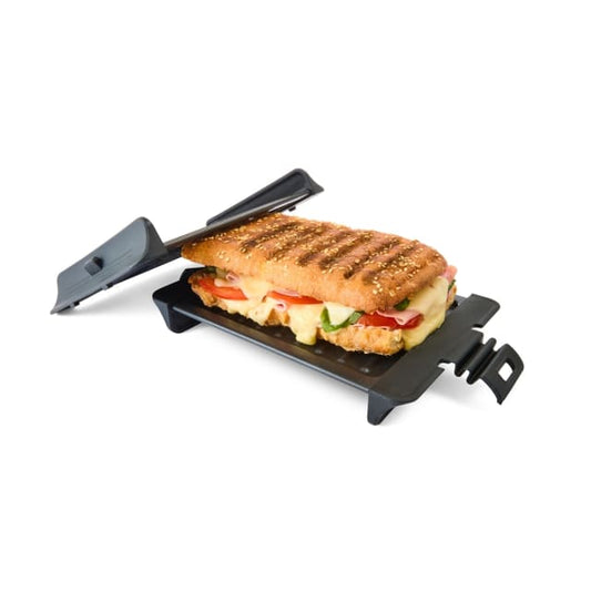 Microwave Grilled Plate