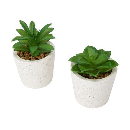 Artificial Succulent in Pot - Assorted